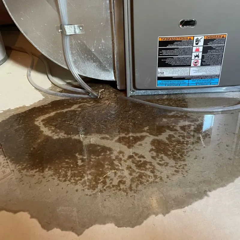 Pipe Burst and Leak Restoration in Rappahannock County, VA